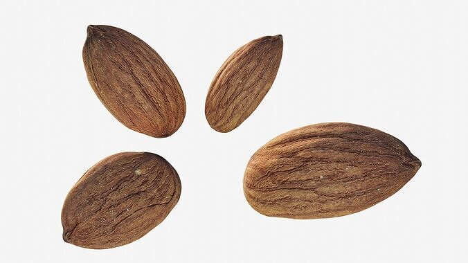 Scanned almond nut Low-poly 3D model 2