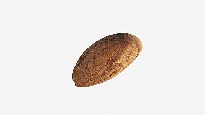 Scanned almond nut Low-poly 3D model 7