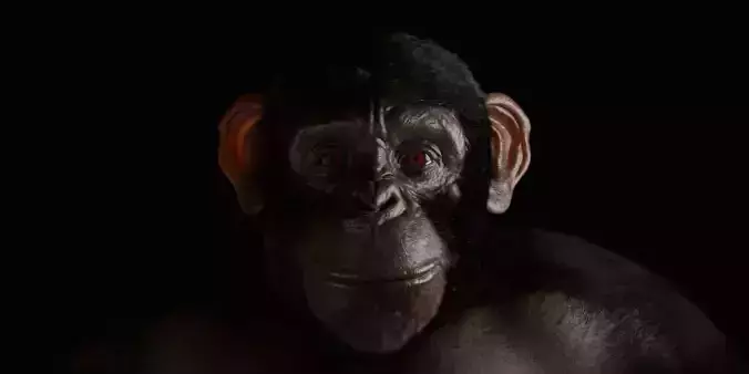 Realistic Ape  Rigged 3D Character For Blender