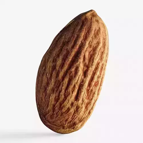 Scanned almond nut  Low-poly 3D model