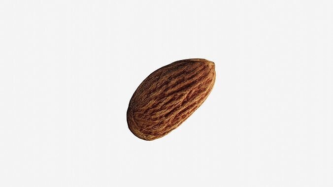 Scanned almond nut  Low-poly 3D model 6
