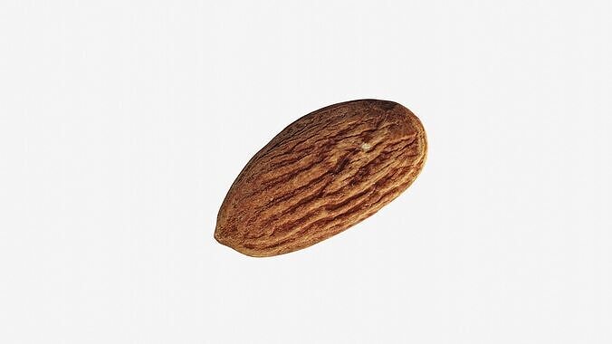 Scanned almond nut  Low-poly 3D model 7