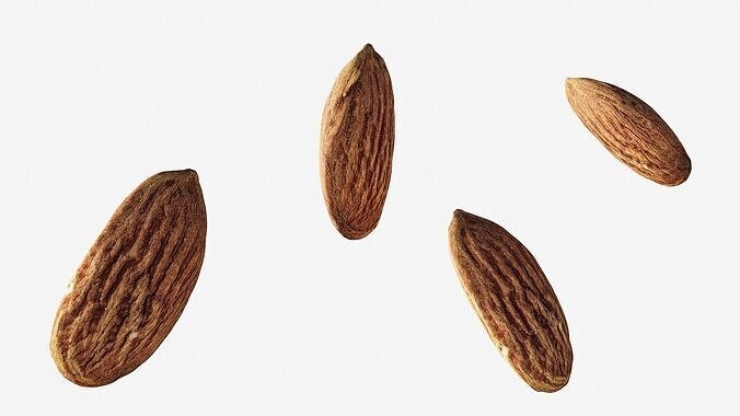 Scanned almond nut  Low-poly 3D model 2