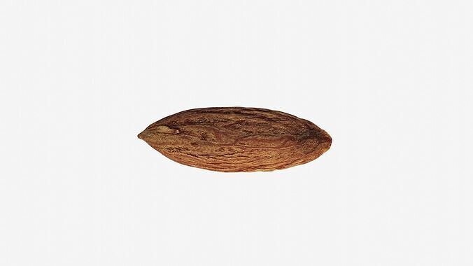 Scanned almond nut  Low-poly 3D model 4