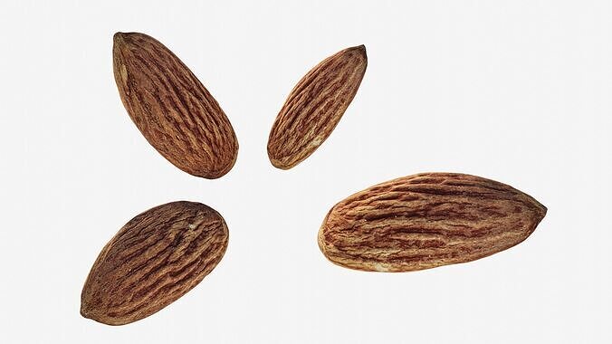Scanned almond nut  Low-poly 3D model 3