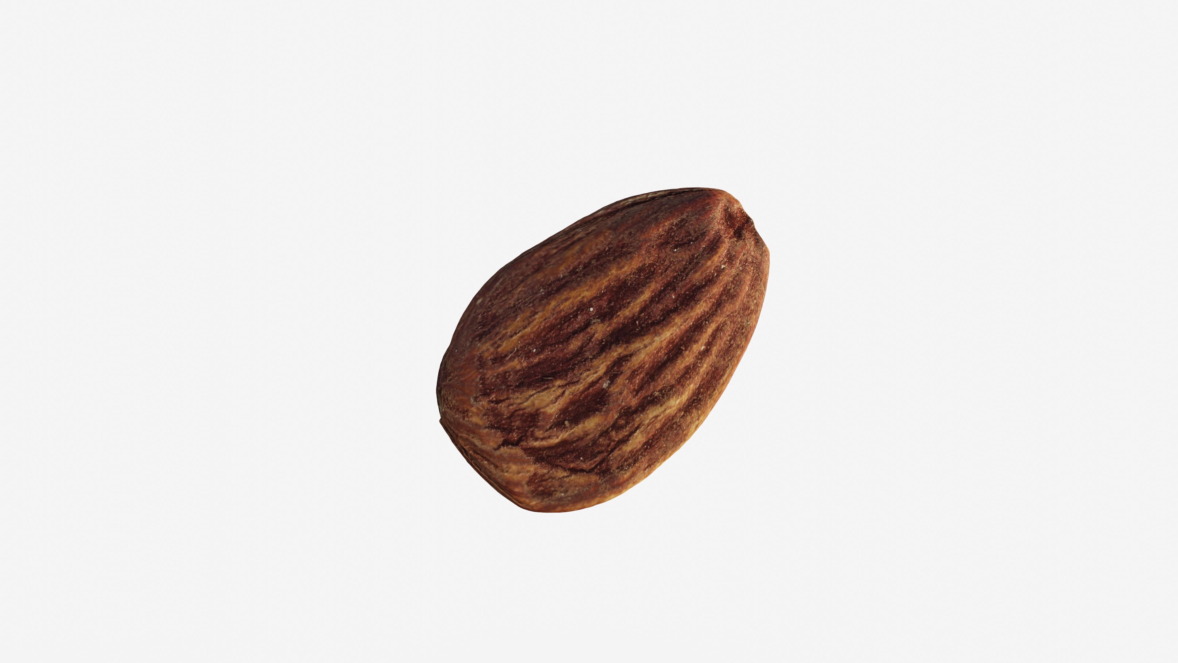 Scanned almond nut Low-poly 3D model_5