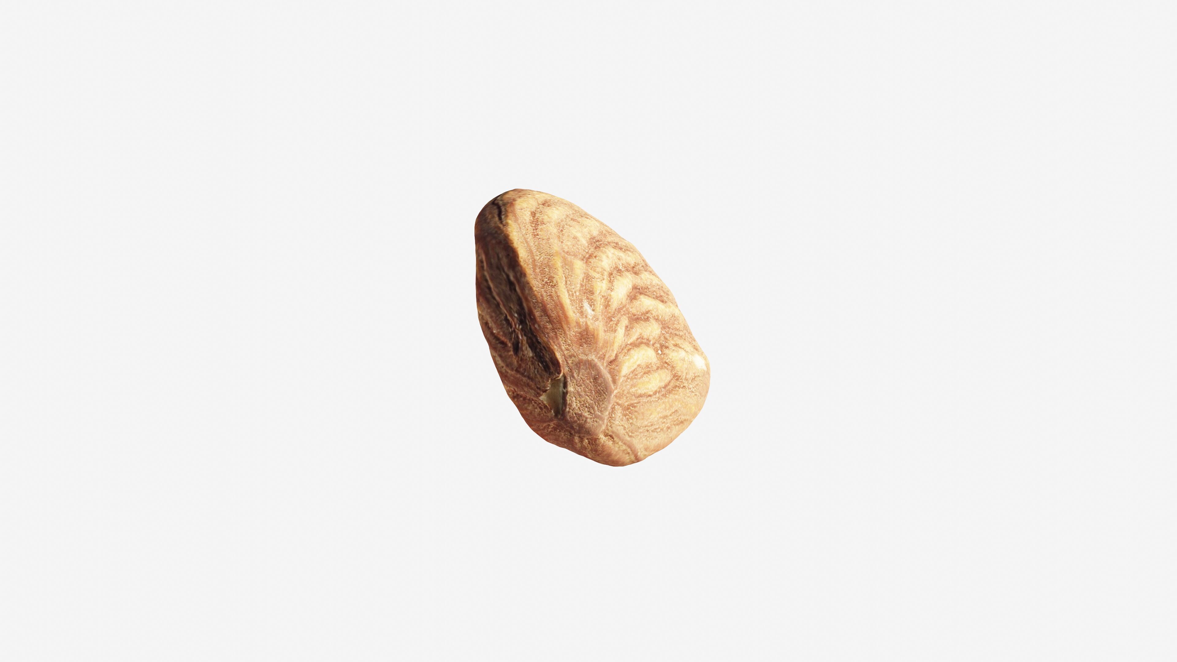Scanned almond nut Low-poly 3D model_11