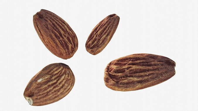 Scanned almond nut Low-poly 3D model 3