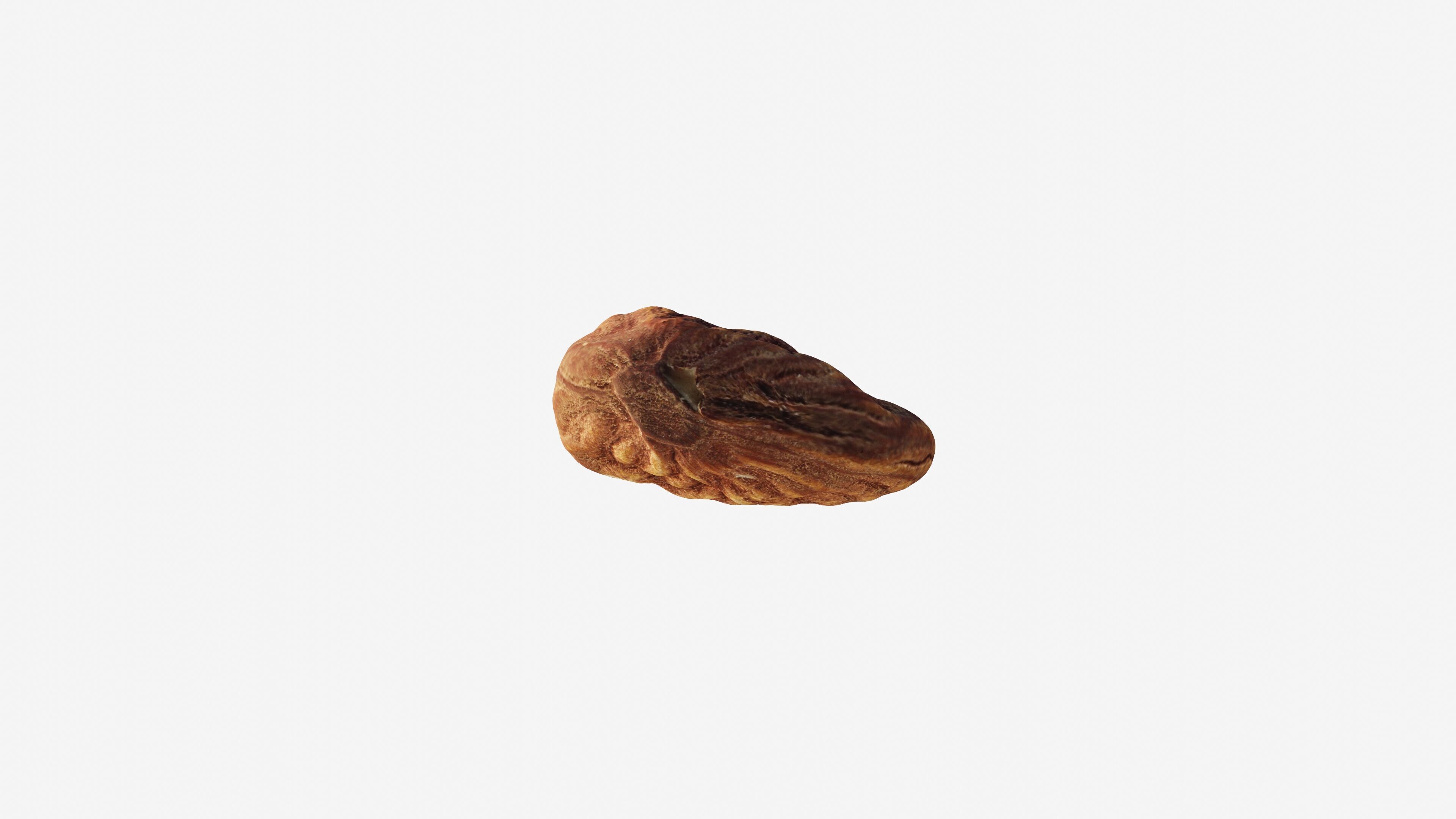 Scanned almond nut Low-poly 3D model_8