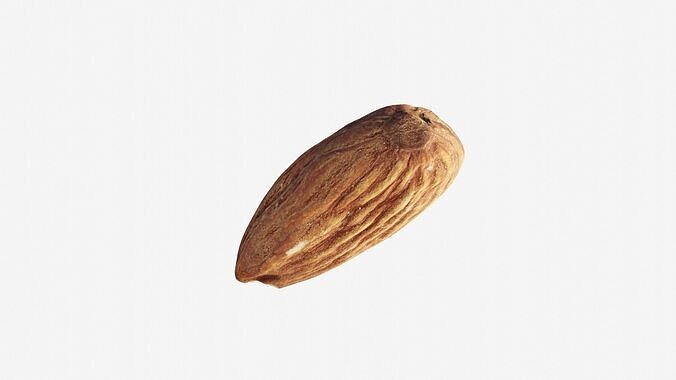 Scanned almond nut Low-poly 3D model 7
