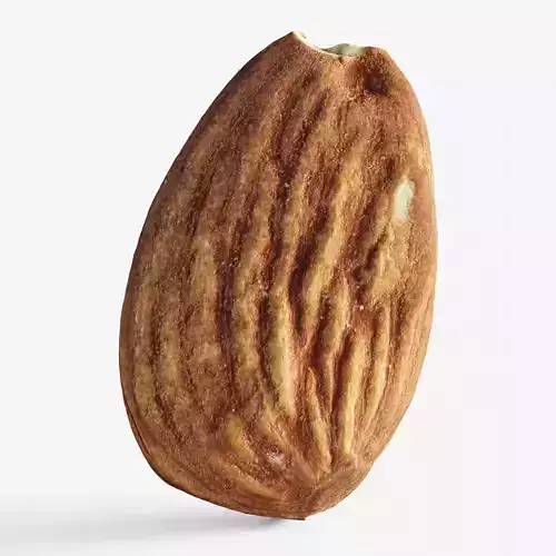 Scanned almond nut Low-poly 3D model
