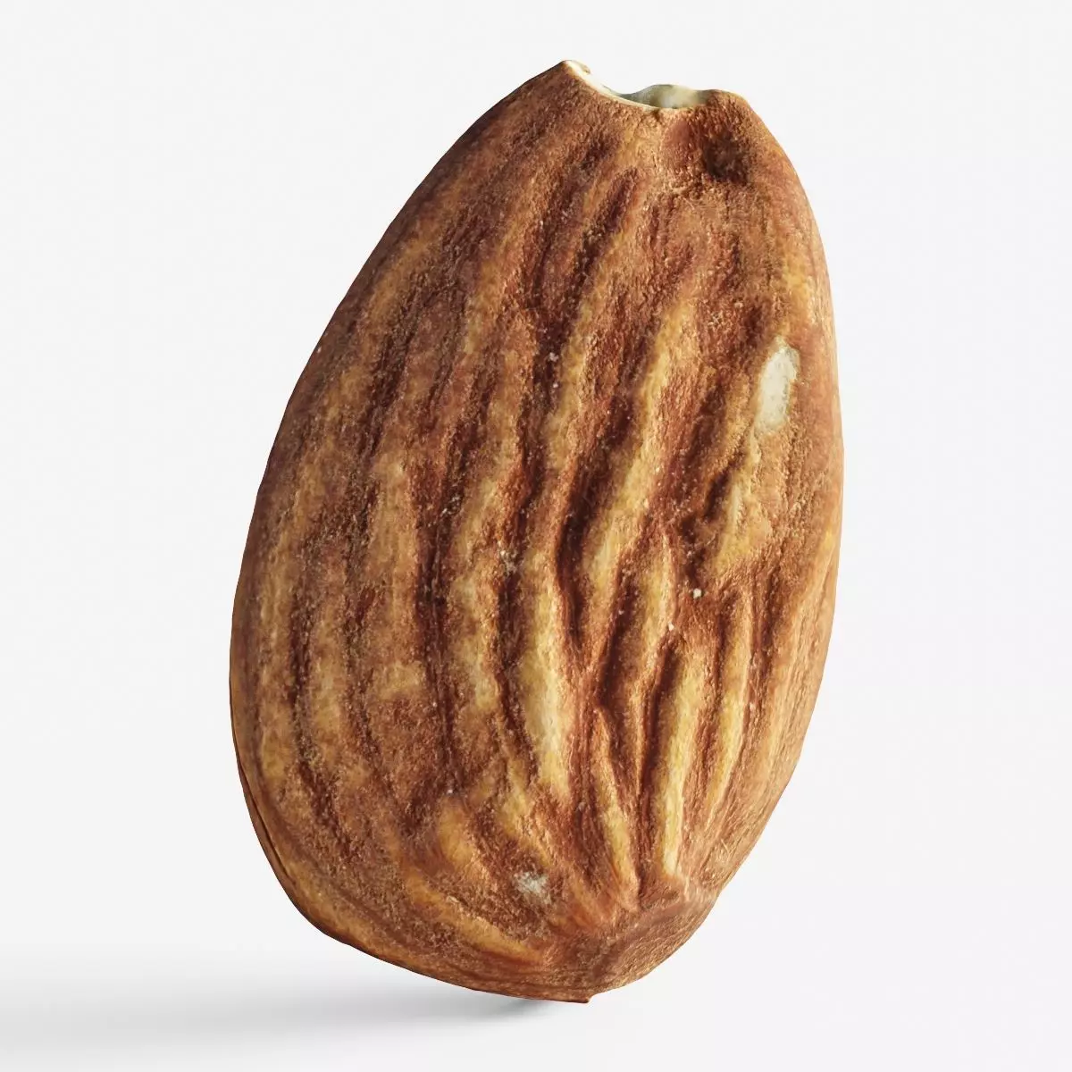 Scanned almond nut Low-poly 3D model_0