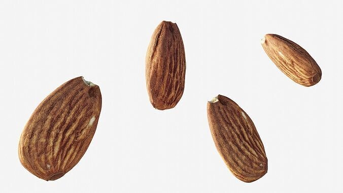Scanned almond nut Low-poly 3D model 2