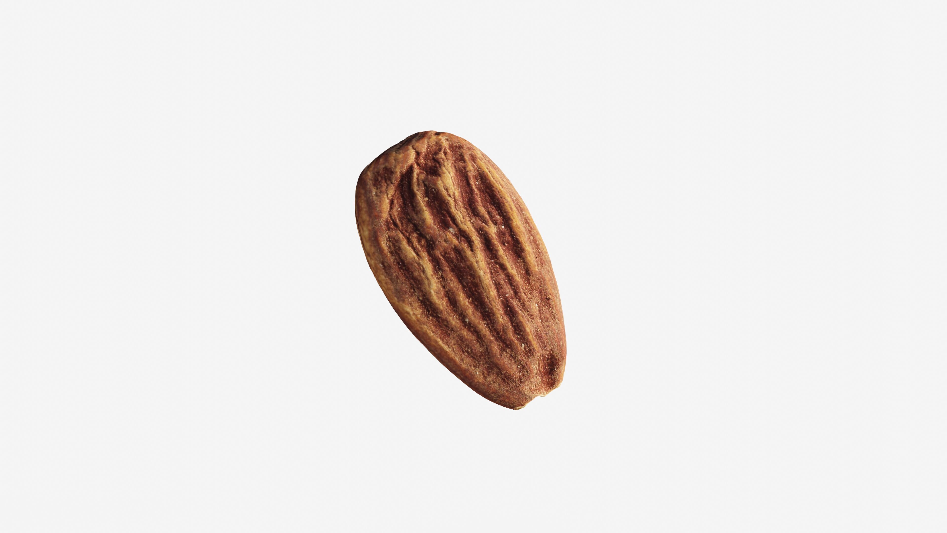 Scanned almond nut Low-poly 3D model_9