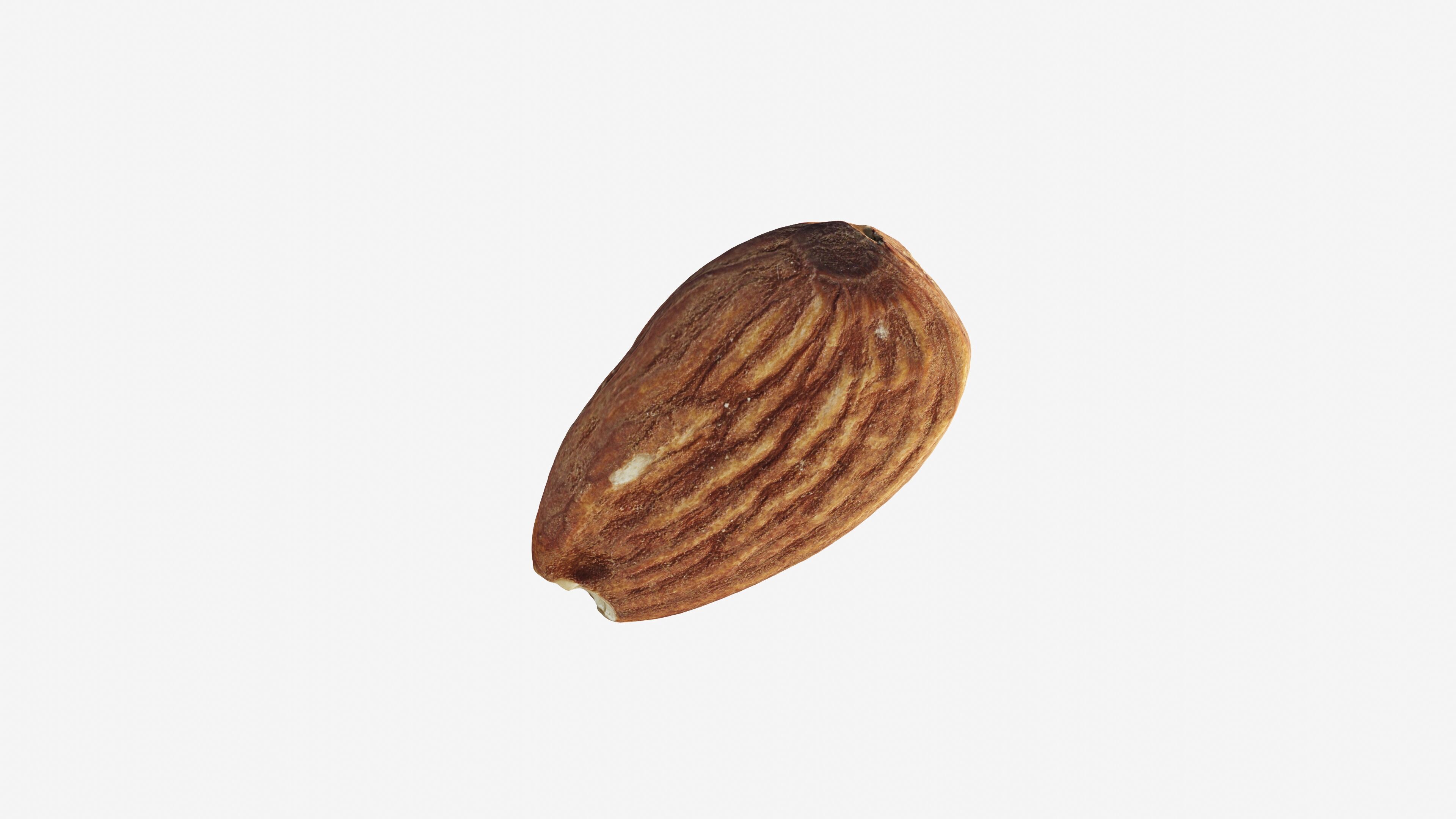 Scanned almond nut Low-poly 3D model_10