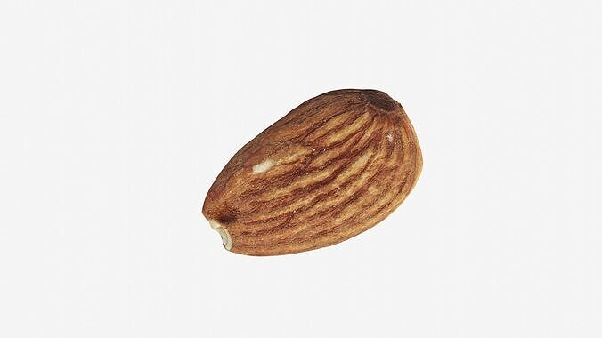 Scanned almond nut Low-poly 3D model 6