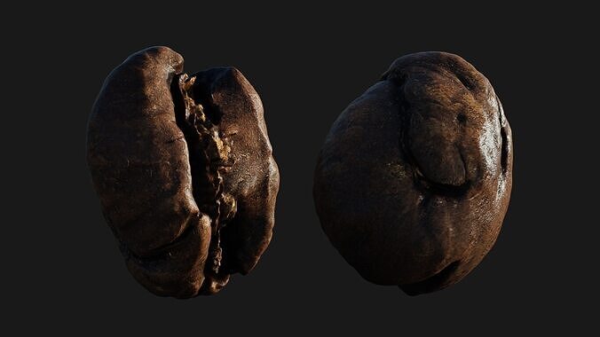Scanned roasted coffee bean  Low-poly 3D model 6