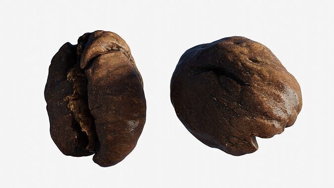 Scanned roasted coffee bean  Low-poly 3D model 7