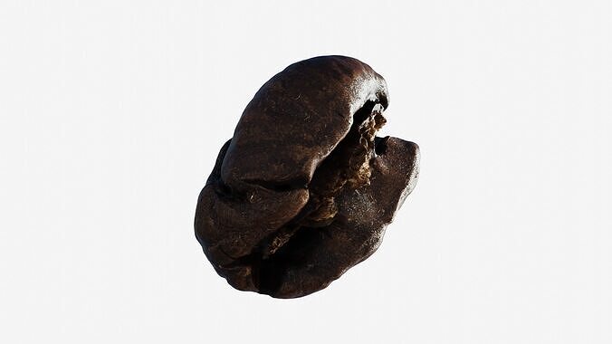 Scanned roasted coffee bean  Low-poly 3D model 5