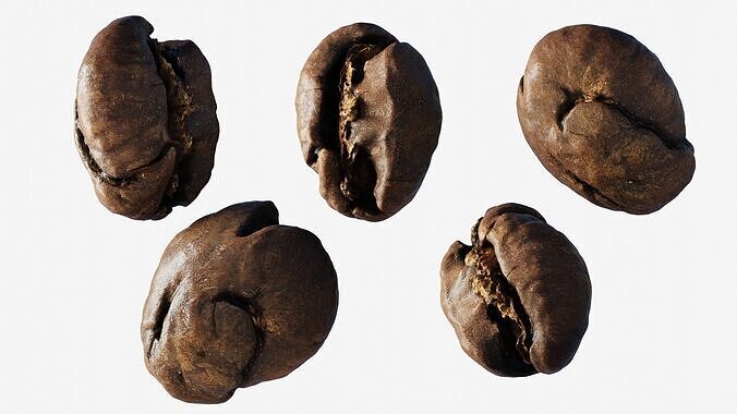 Scanned roasted coffee bean  Low-poly 3D model 3