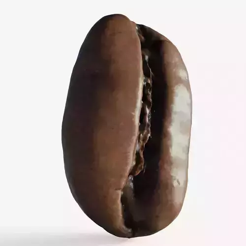 Scanned roasted coffee bean