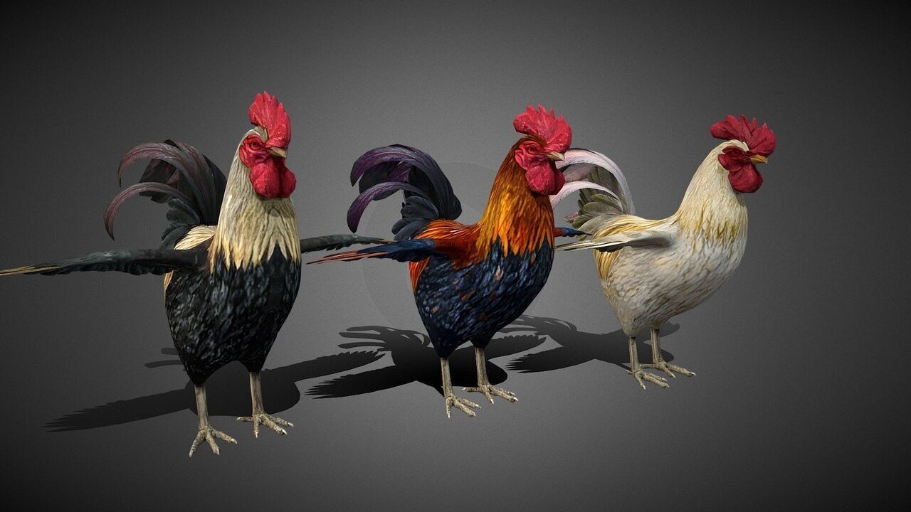 50 Realistic Animals FULL PACK Low-poly 3D model_74