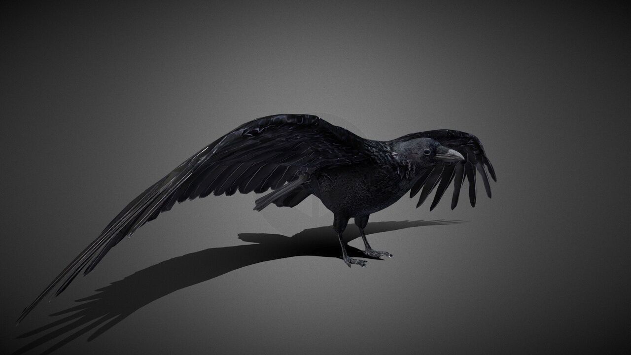 50 Realistic Animals FULL PACK Low-poly 3D model_51