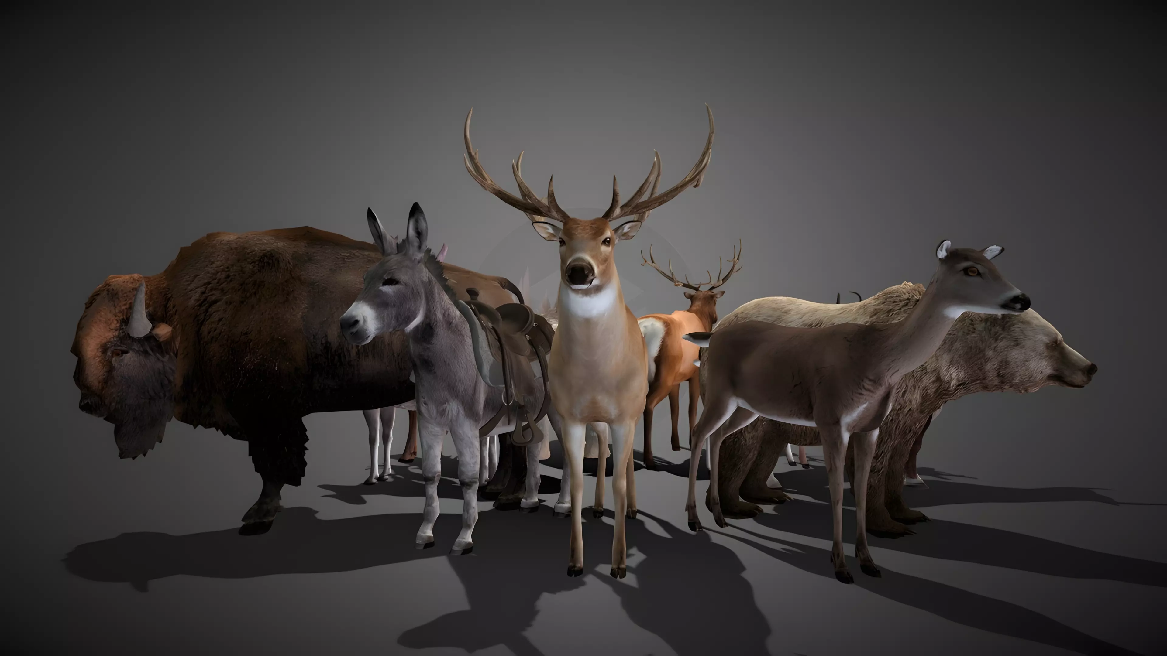 50 Realistic Animals FULL PACK Low-poly 3D model_0