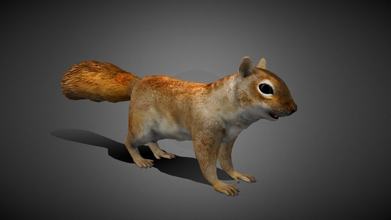 50 Realistic Animals FULL PACK Low-poly 3D model_78