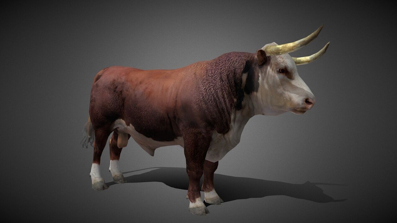 50 Realistic Animals FULL PACK Low-poly 3D model_44