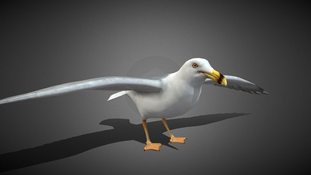 50 Realistic Animals FULL PACK Low-poly 3D model_75