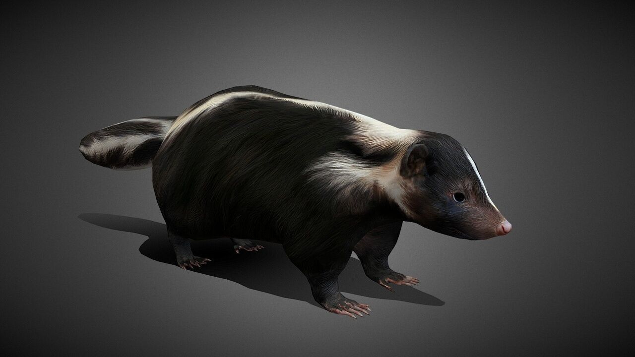 50 Realistic Animals FULL PACK Low-poly 3D model_76