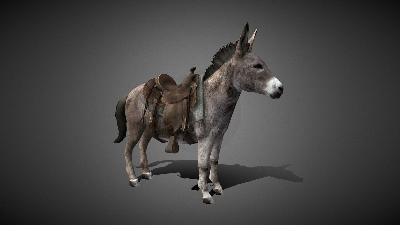 50 Realistic Animals FULL PACK Low-poly 3D model_36