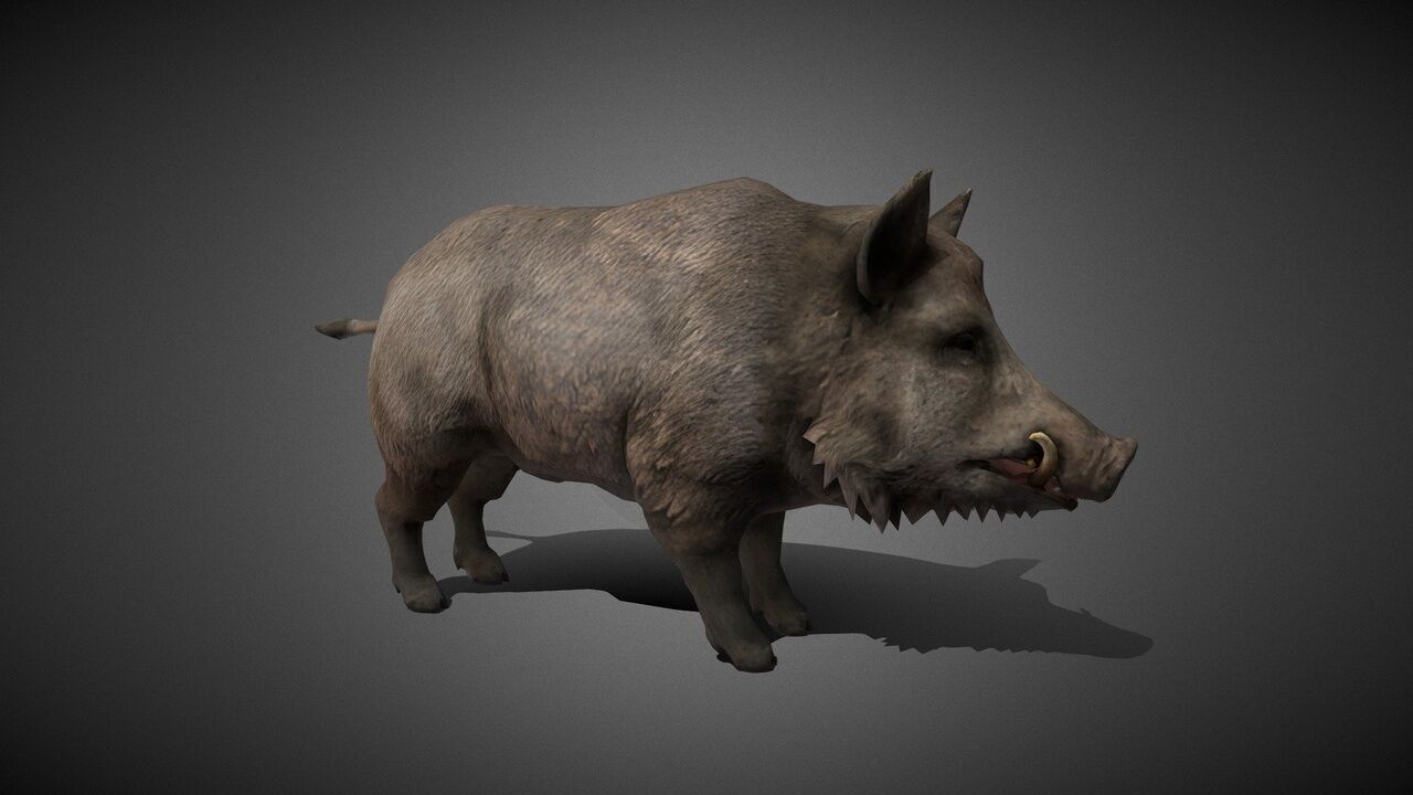 50 Realistic Animals FULL PACK Low-poly 3D model_45