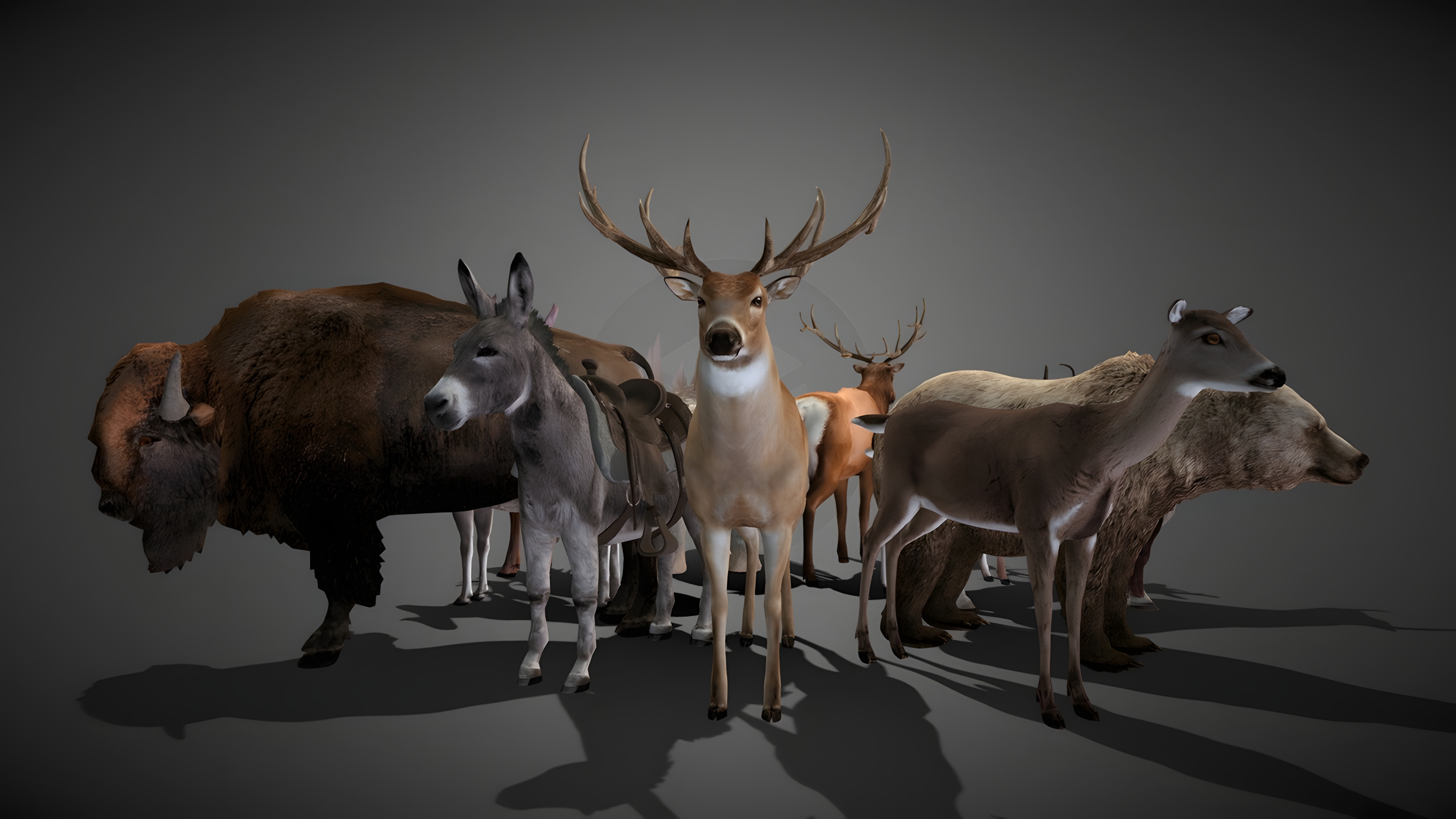 50 Realistic Animals FULL PACK Low-poly 3D model_33