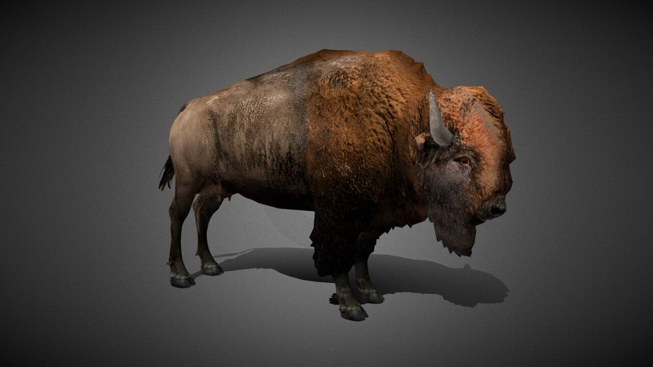 50 Realistic Animals FULL PACK Low-poly 3D model_42