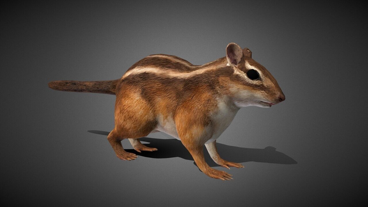 50 Realistic Animals FULL PACK Low-poly 3D model_53