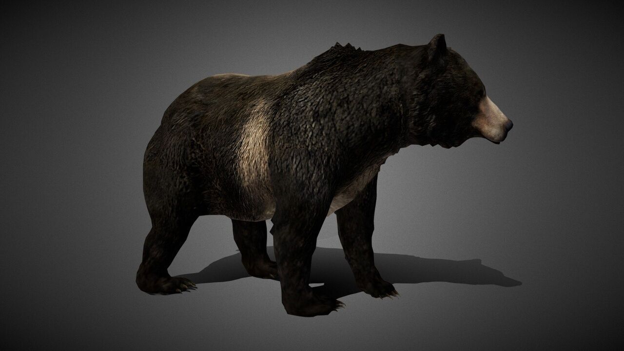 50 Realistic Animals FULL PACK Low-poly 3D model_83