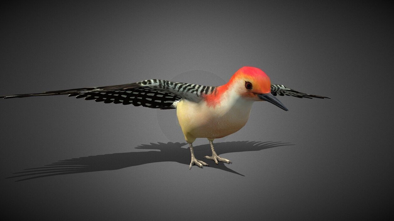 50 Realistic Animals FULL PACK Low-poly 3D model_82