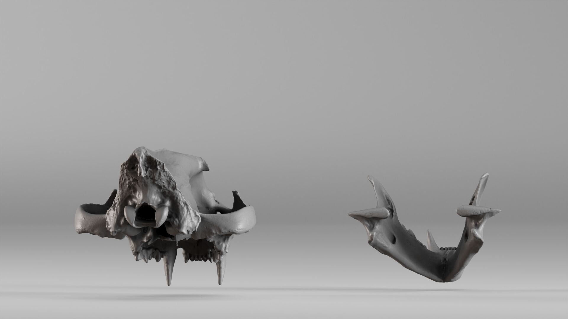 001602 Lion Skull 3D print model_17