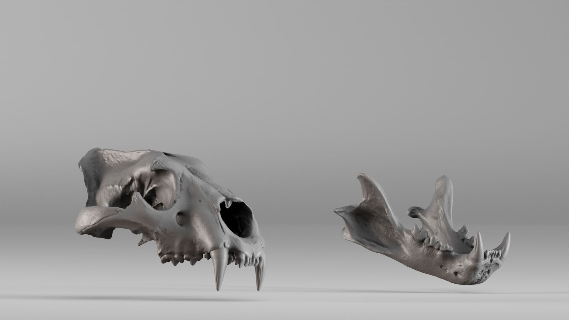 001602 Lion Skull 3D print model_3