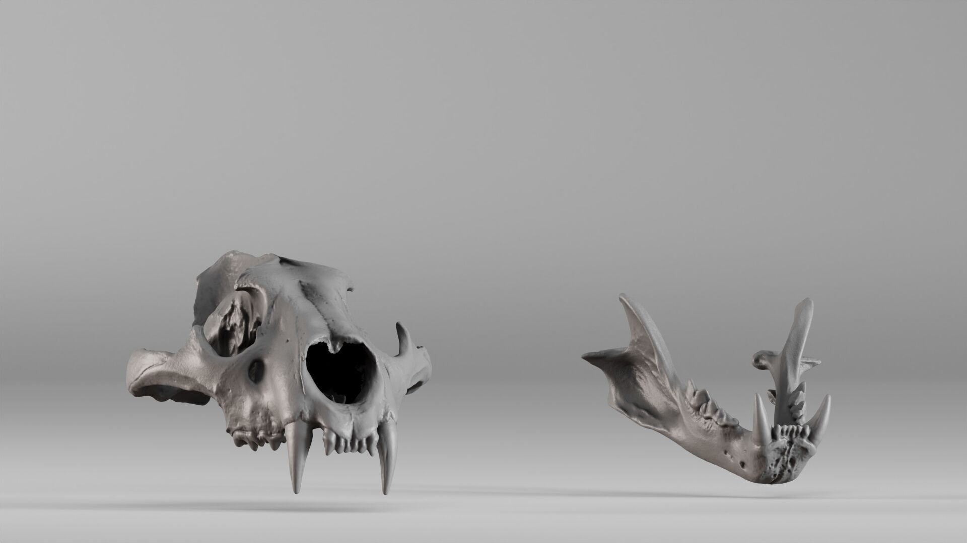 001602 Lion Skull 3D print model_35