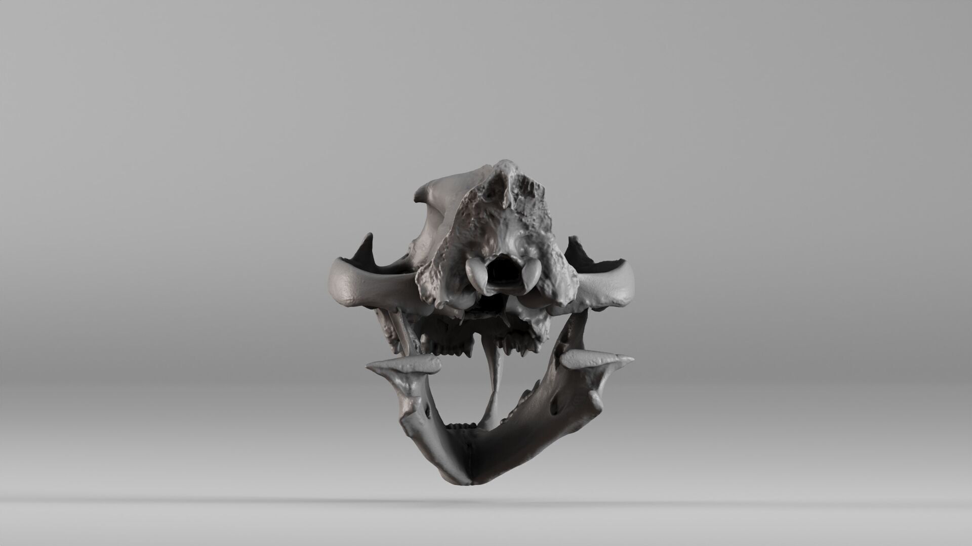001602 Lion Skull 3D print model_24
