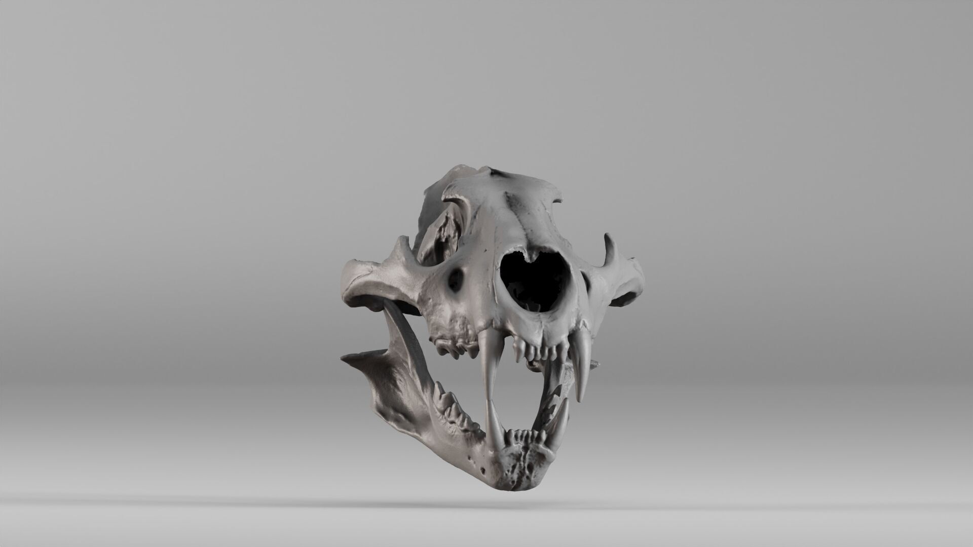001602 Lion Skull 3D print model_10