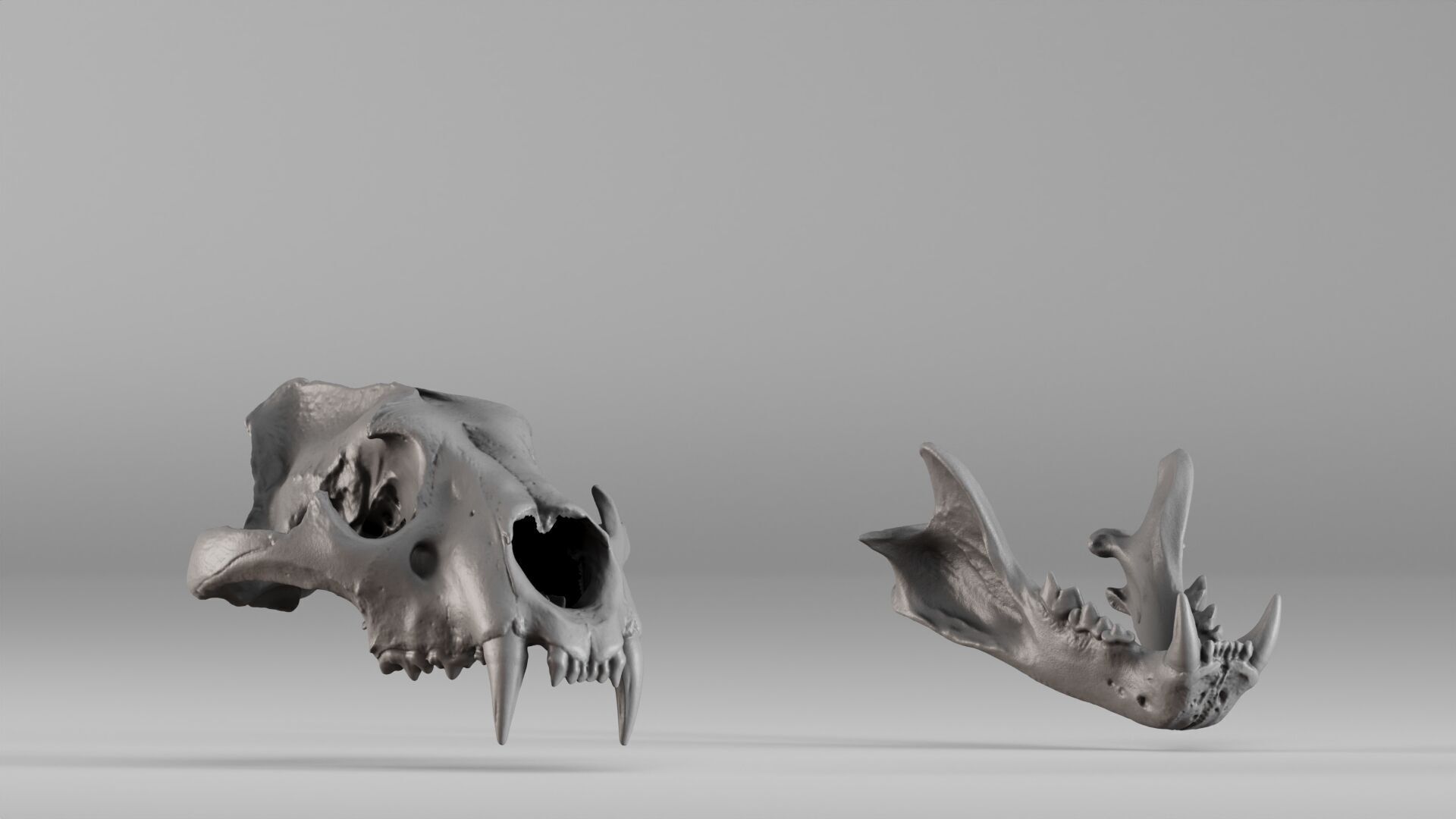 001602 Lion Skull 3D print model_37