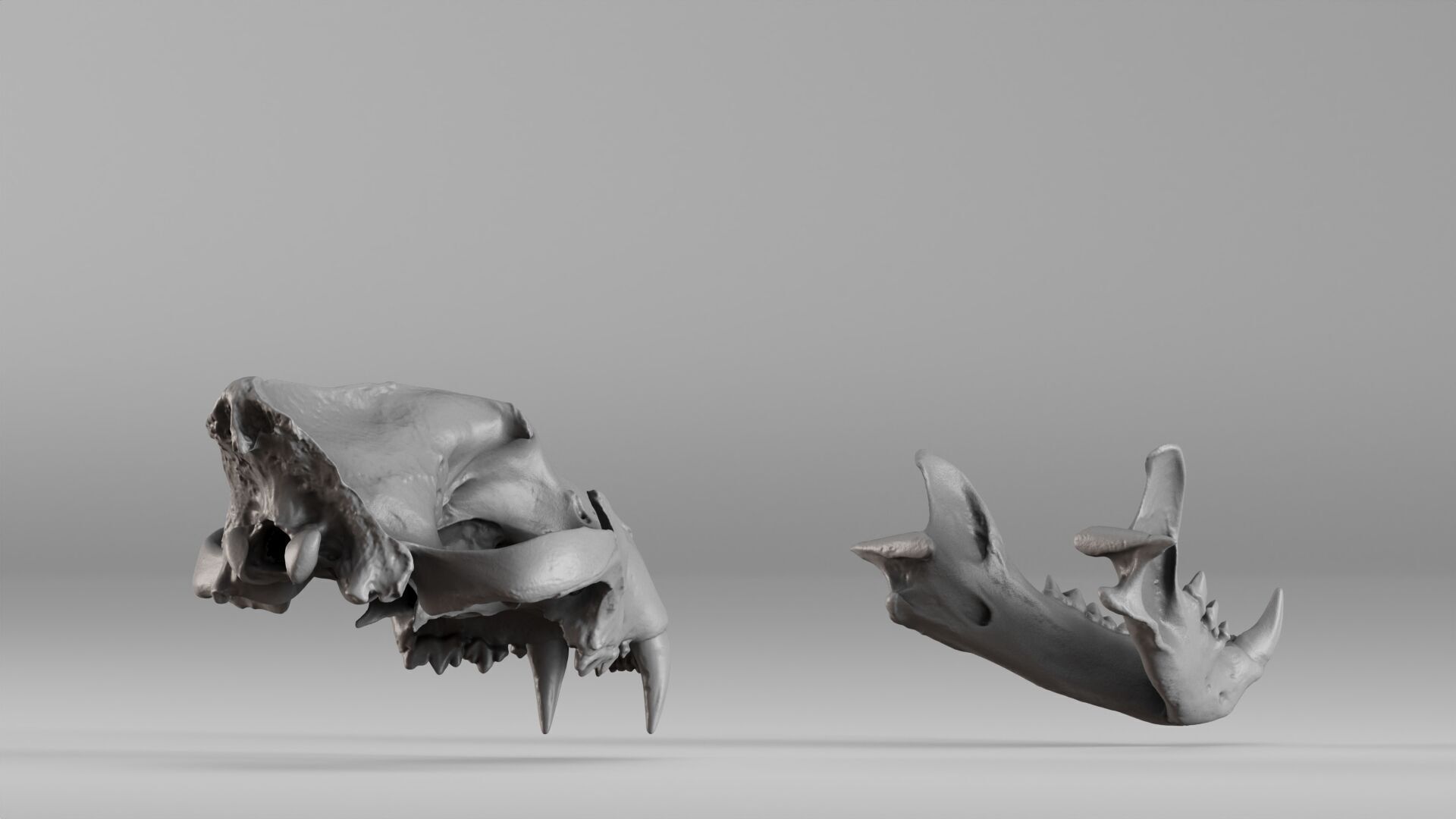 001602 Lion Skull 3D print model_15