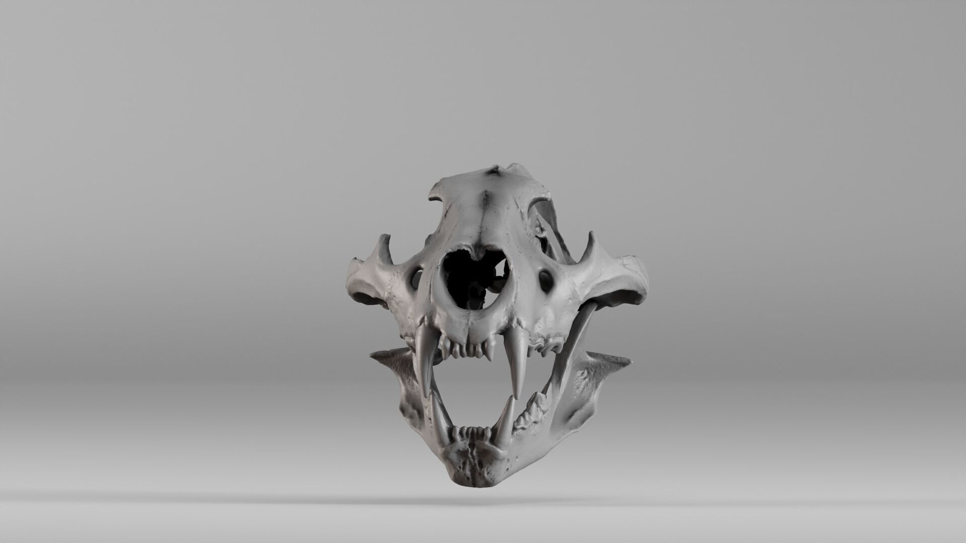 001602 Lion Skull 3D print model_8
