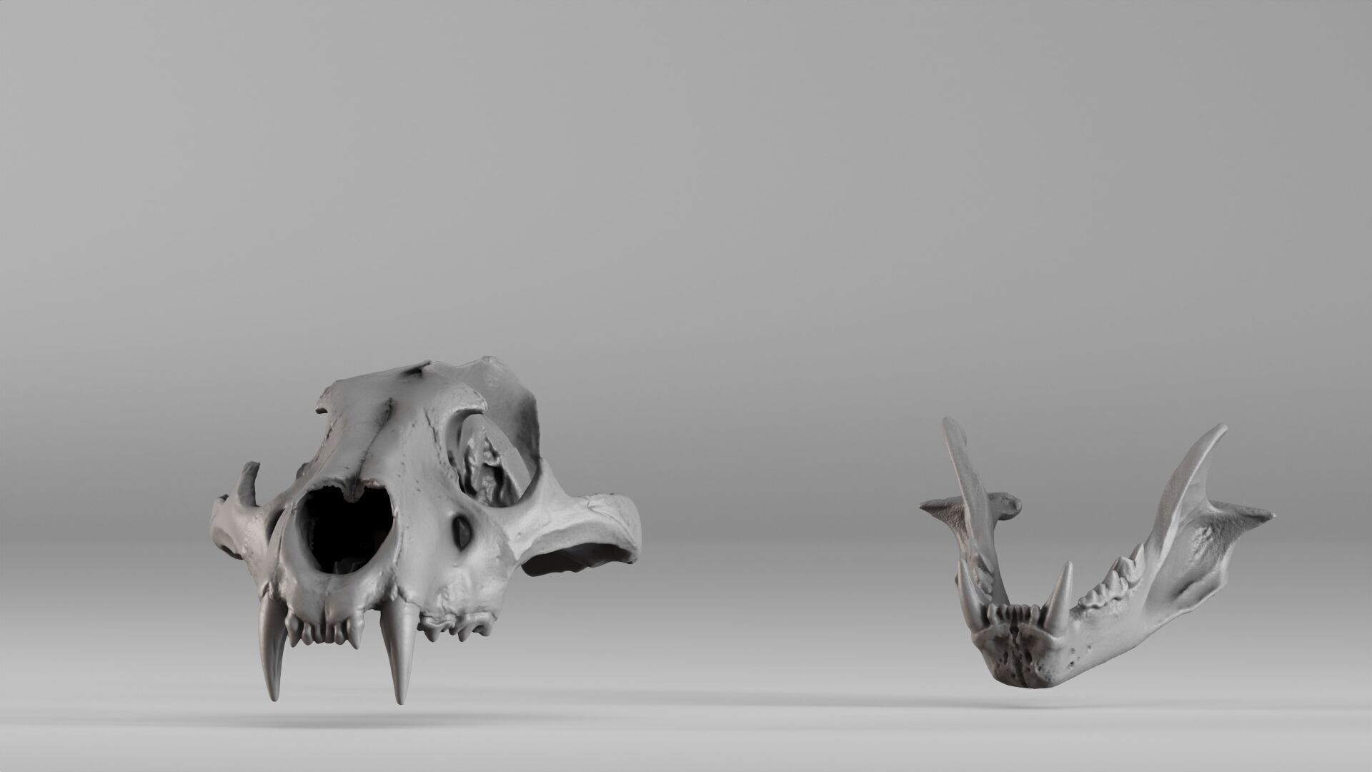 001602 Lion Skull 3D print model_31
