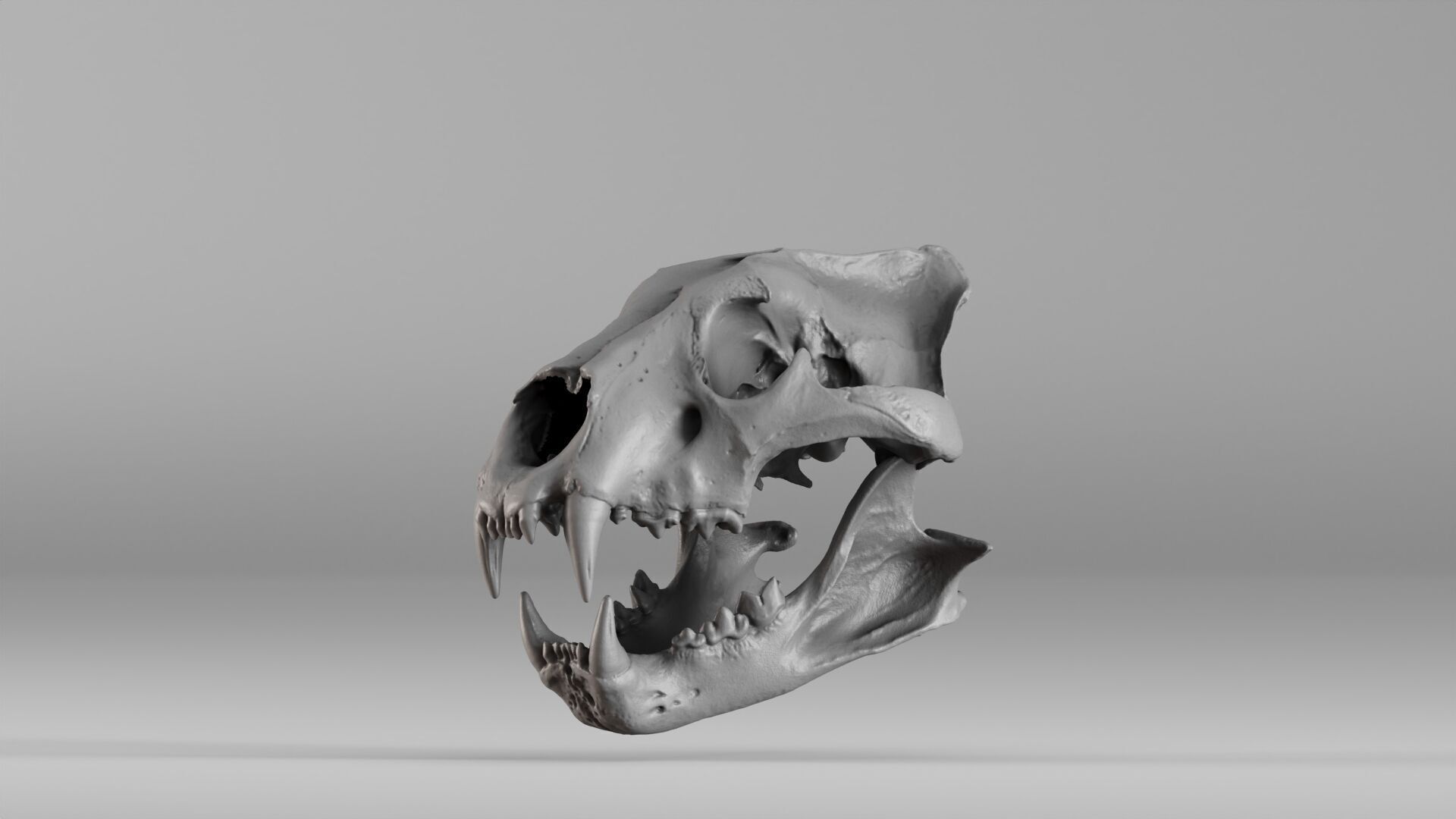 001602 Lion Skull 3D print model_38