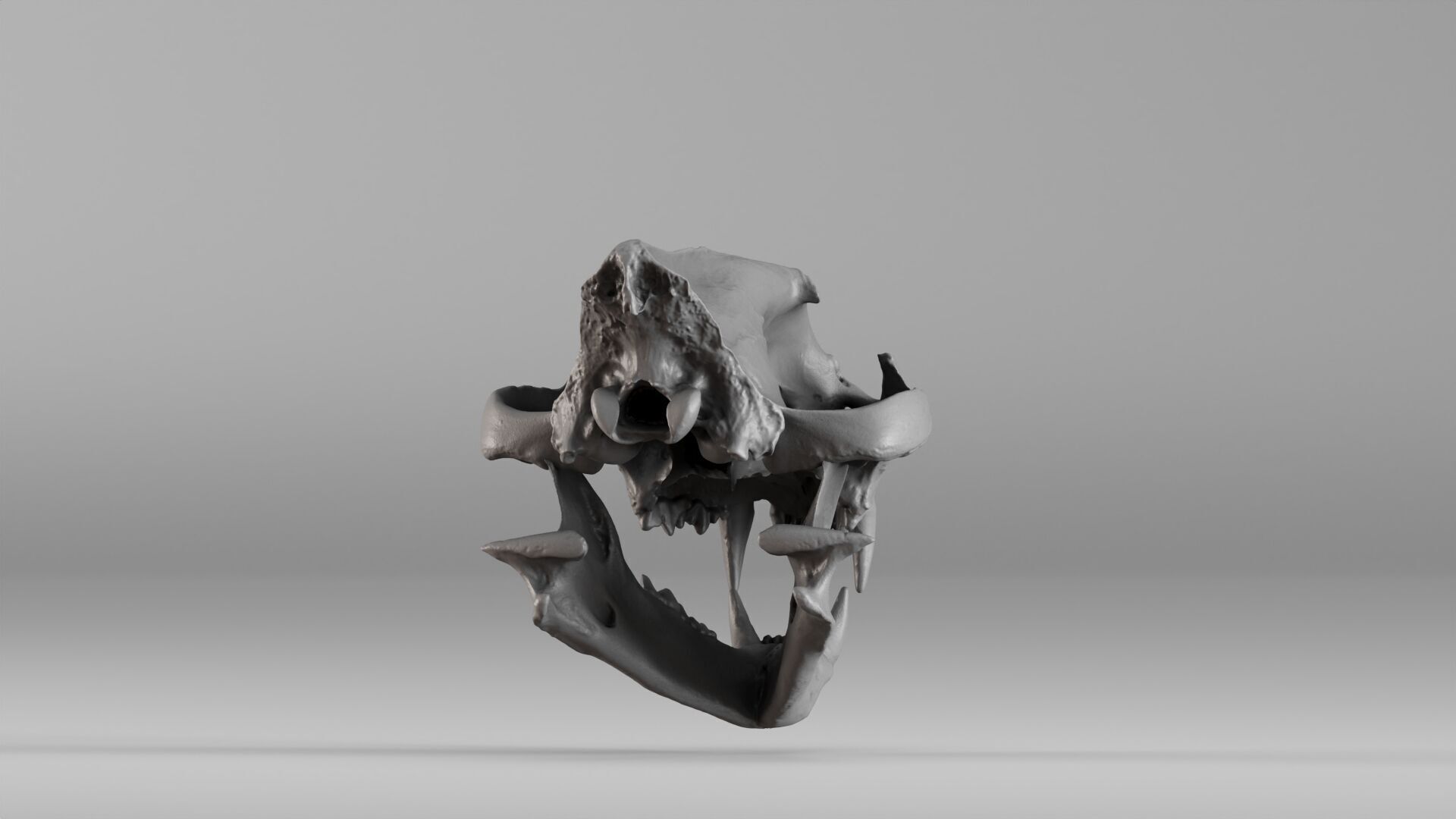 001602 Lion Skull 3D print model_22